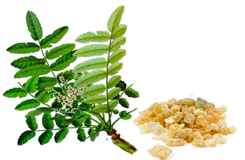 Shallaki Capsules