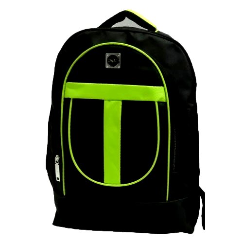 Trendy Laptop Backpack Bag