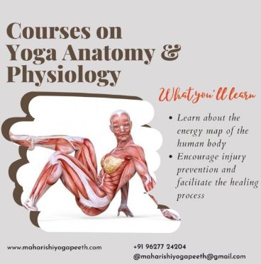 Yoga Anatomy and Physiology Course