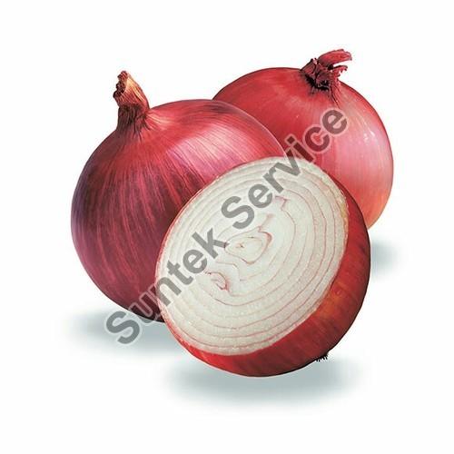 Fresh Big Onion