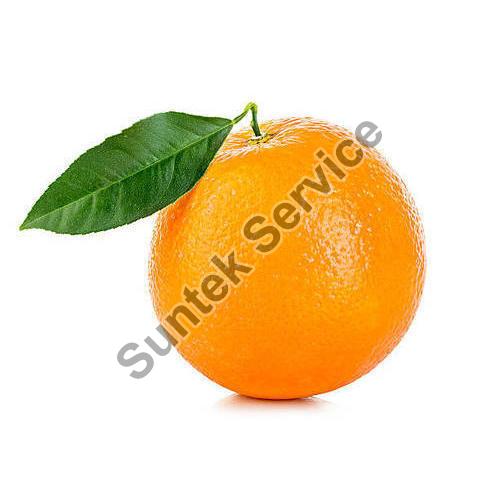 Fresh Orange