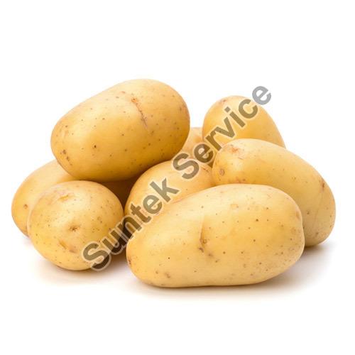 Fresh Potato