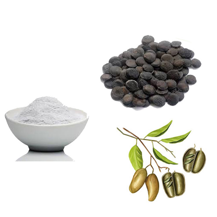 Griffonia Seed Extract 5 HTP