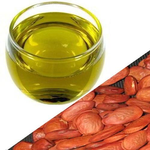 Karanja Oil