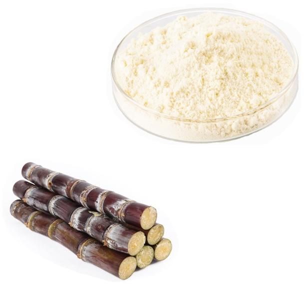 Octacosanol Extract