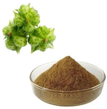 Tribulus Terrestria Extract