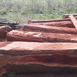 Ivory Coast Teak Wood