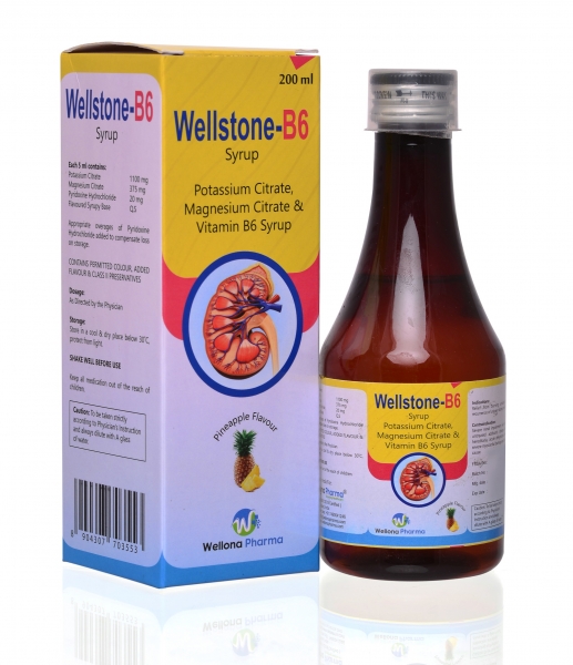 Wellstone B-6 Syrup