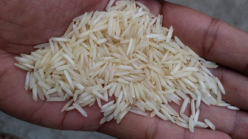 1509 Raw Basmati Rice