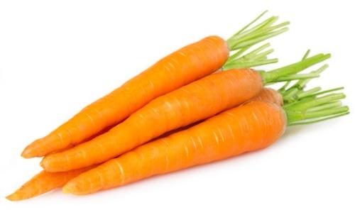 Fresh Carrot