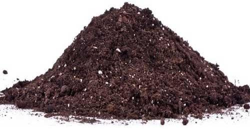 Organic Compost Fertilizer