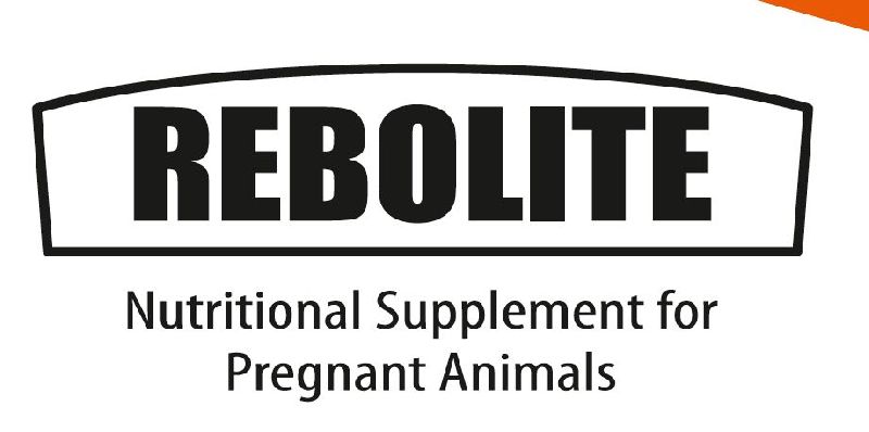 Pregnant Animals Nutritional Suppliement