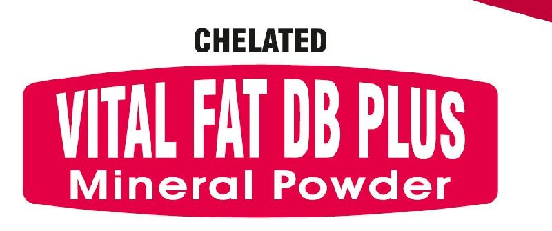 Vital Fat DB Plus Mineral Powder