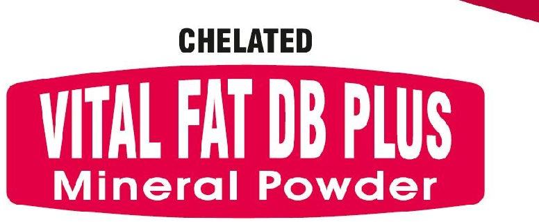 Vital Fat DB Plus Mineral Powder