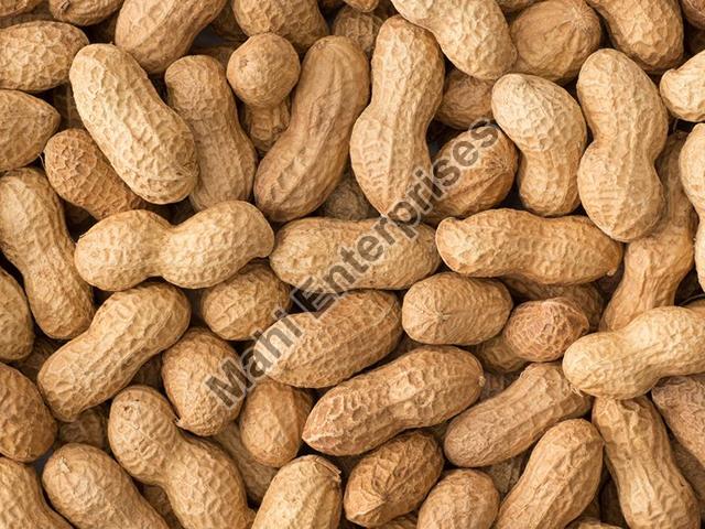 Shelled Peanut