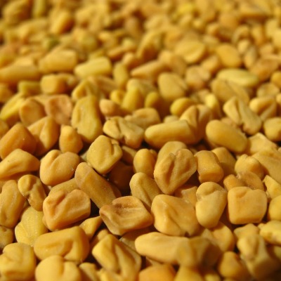 Fenugreek Seeds