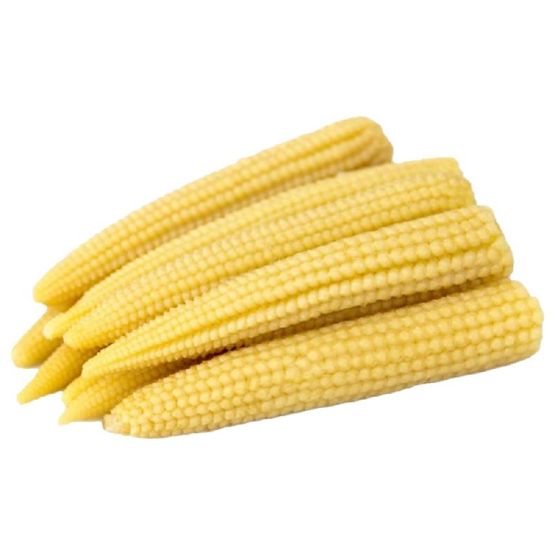 Fresh Baby Corns