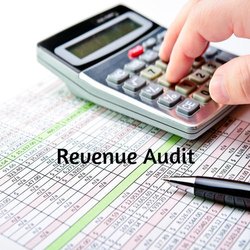 Revenue Audit Services