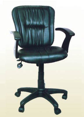 Puupy Wrinkle Mb Office Chair