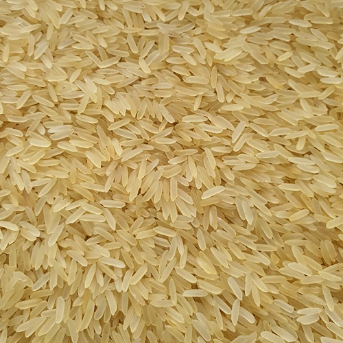 PR11 Golden Non Basmati Rice