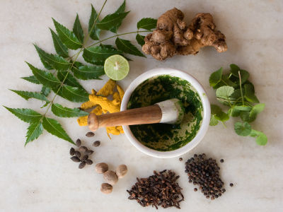 Herbal Product Testing Services