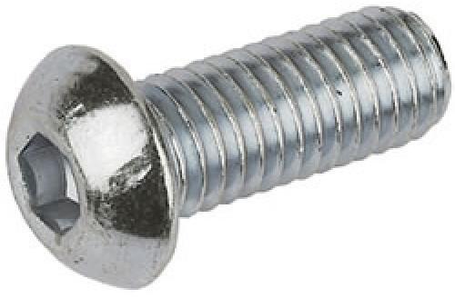 Stainless Steel Bolts