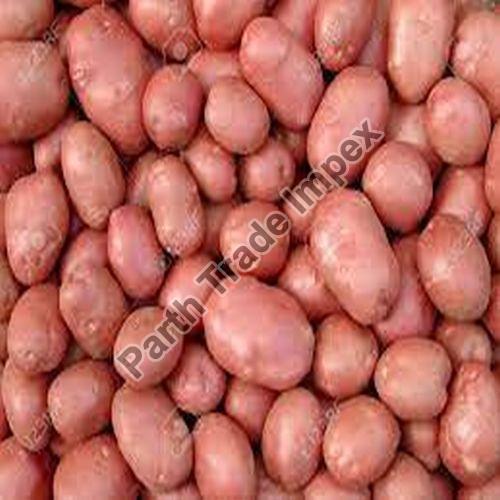 Fresh Pink Potato