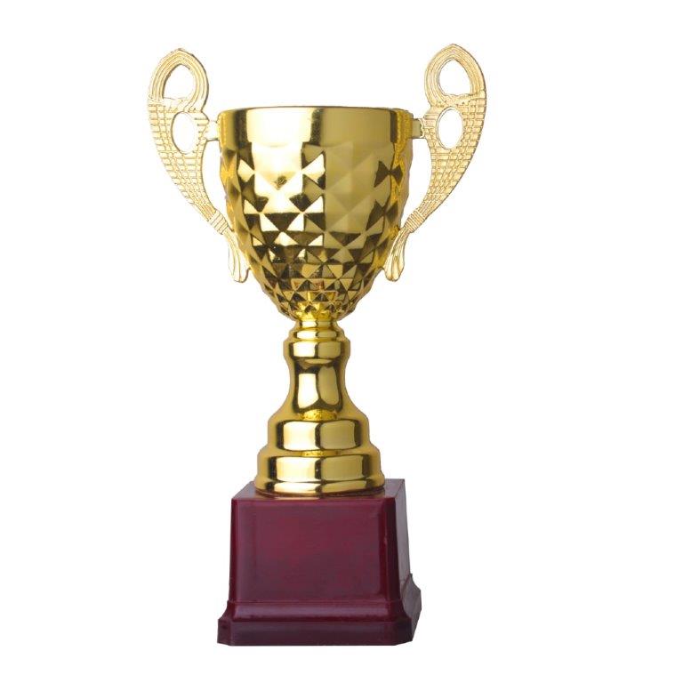 ABS Cup Trophy