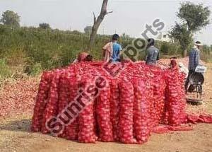 Farm Mesh Packed Onion