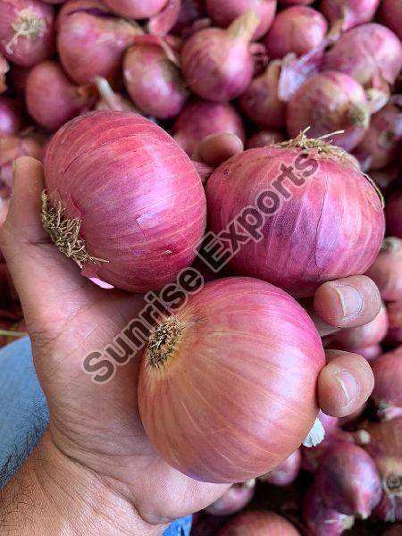 Pink Onion - BT Exports