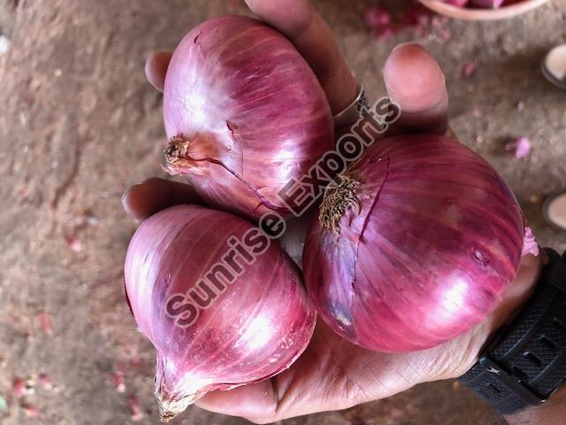 Fresh Red Onion 04