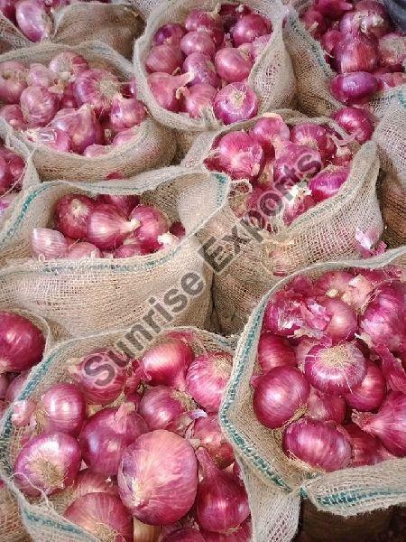 Fresh Red Onion 05