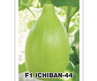 F1-44 Bottle Gourd Seeds