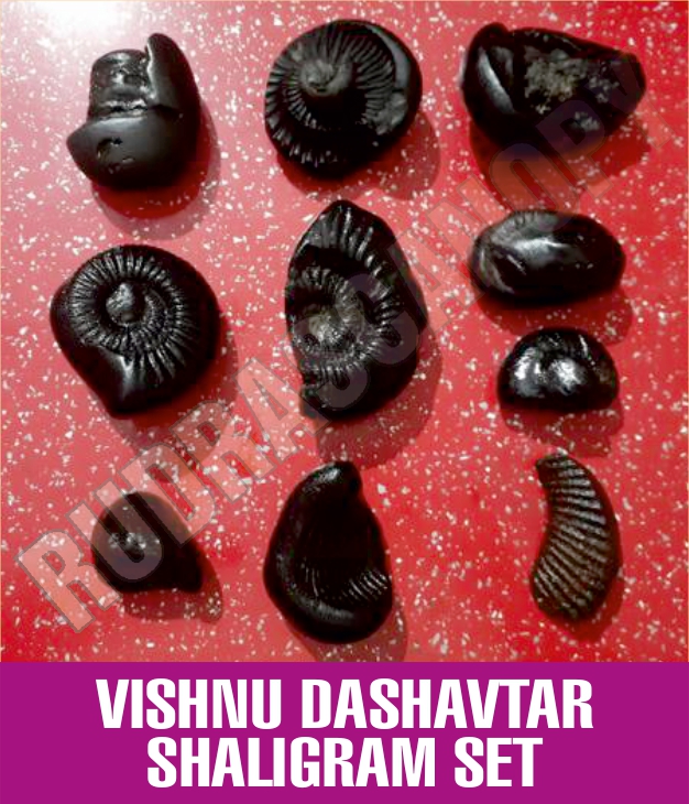 Vedic Gem Stones Supplier  Vedic Gem Stones Manufacturer in Ludhiana India