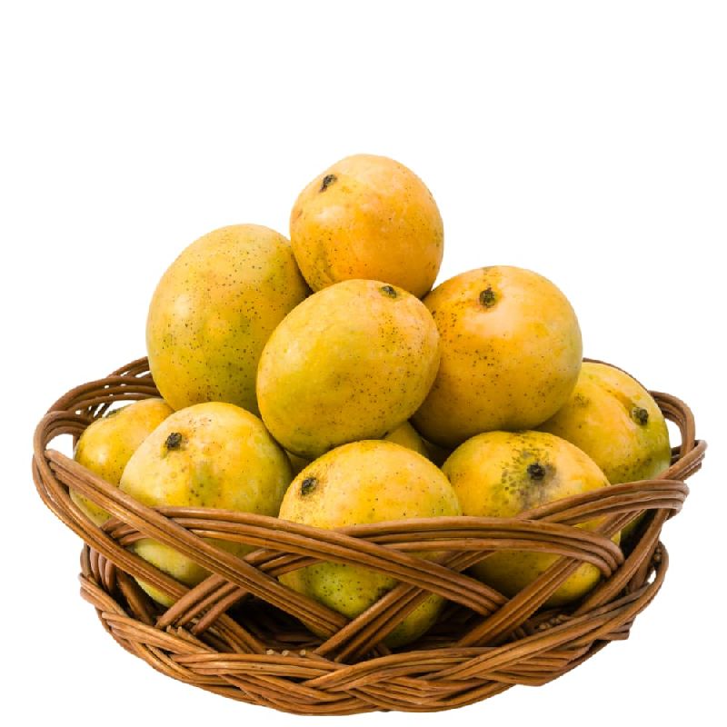 Alphonso Hapus Mangoes