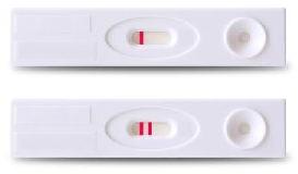 Pregnancy HCG Detection Test Kit