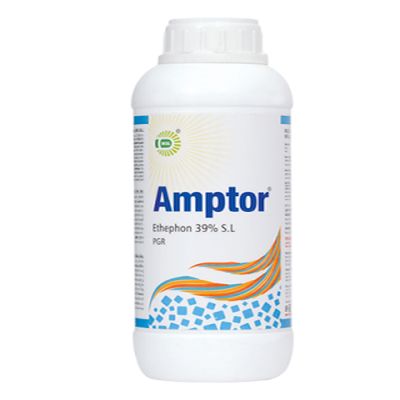 Amptor Plant Growth Promoter