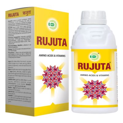 Rujuta Amino Acid & Vitamin Liquid