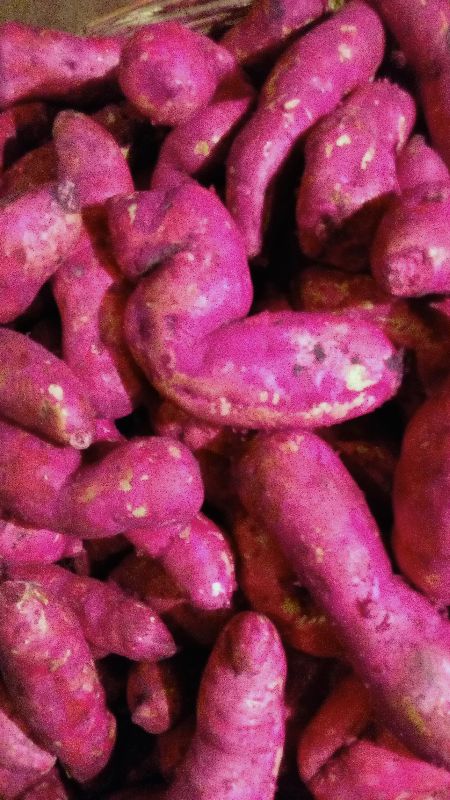 Fresh Red Potato