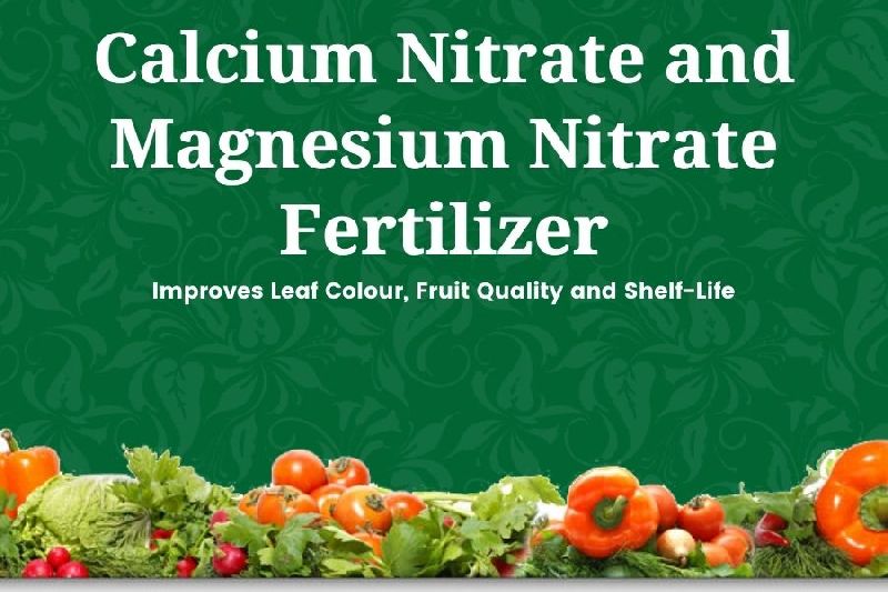 Calcium Nitrate and Magnesium Nitrate Fertilizer