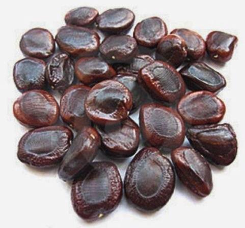 Tamarind Seeds