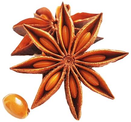 Vietnam Spring Star Anise