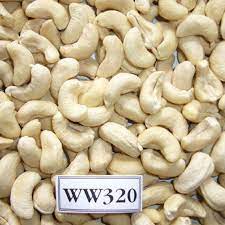 W320 Cashew Nuts