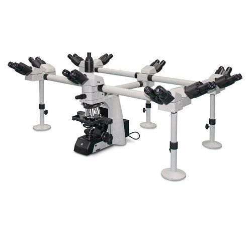 RNOS28 Multi Viewing Microscope