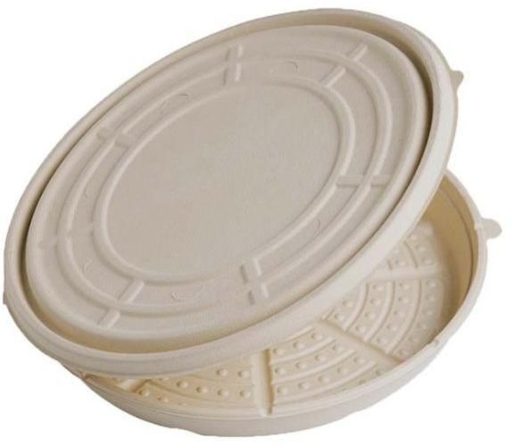 Disposable Sugarcane Bagasse Plate
