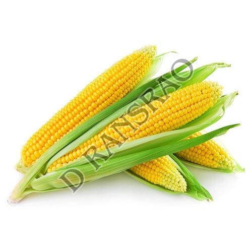 Fresh Maize