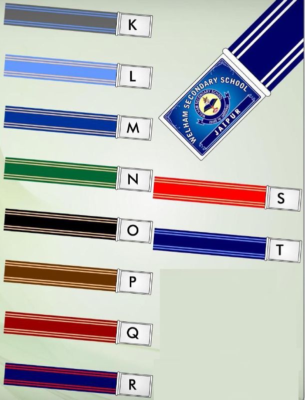 Colored Tunning School Belt