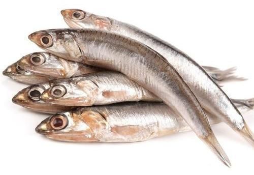Fresh Anchovy Fish