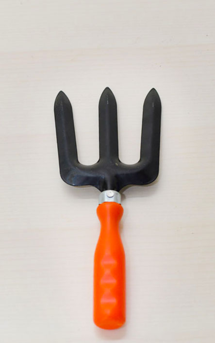 Hand Fork with Plastic Handle
