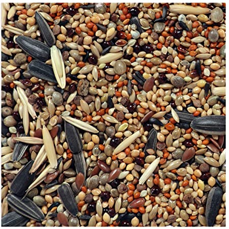 Bird shop seed suppliers